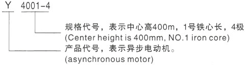 西安泰富西玛Y系列(H355-1000)高压YKS5601-12/500KW三相异步电机型号说明